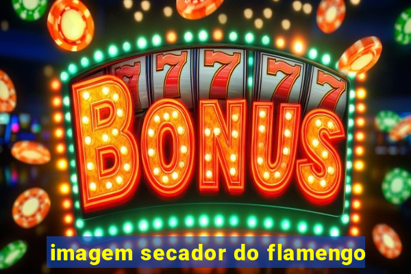 imagem secador do flamengo